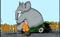فیل چگونه سوار پراید می‌شود؟