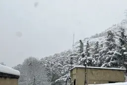 بارش شدید برف در تهران |  ارتفاع برف به ۲۰ سانتیمتر رسید+ عکس