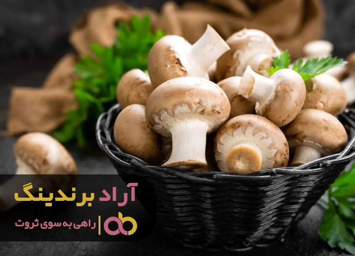 با این قارچ به زندگی ات جان تازه ای ببخش