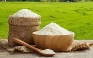 قیمت های نجومی برنج در بازار |شفاف‌سازی قیمت‌ها با راه‌اندازی بورس برنج