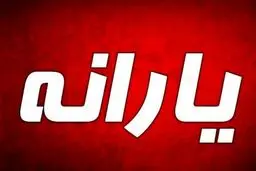 خبر مهم از دولت | یارانه شهریور نقدی است یا کالا برگ