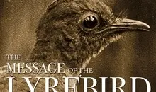 پرنده لیریبرد: سلطان آوازهای تقلیدی در جنگل‌های استرالیا