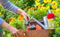 رسیدگی کردن به گل‌ و گیاه حداقل یک بار در هفته باعث کاهش اضطراب می‌شود