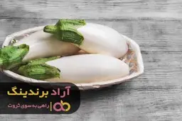 از افکار منفی خود را خلاص کردم و در مسیر ثروت قدم گذاشتم