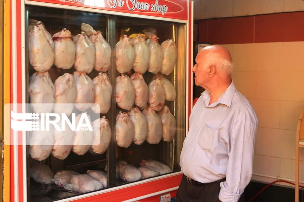 از فردا در تهران توزیع مرغ با نرخ ۱۵ هزار تومان توزیع میشود
