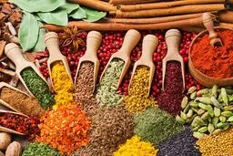 ادویه مخصوص هر غذا رو یاد بگیر | هر غذا ادویه خاص خودشو داره که مزه غذارو جادویی میکنه +تصویر