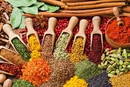 ادویه مخصوص هر غذا رو یاد بگیر | هر غذا ادویه خاص خودشو داره که مزه غذارو جادویی میکنه +تصویر