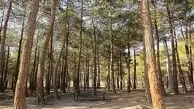 ۴ بوستان جنگلی تهران تا ١۵ اردیبهشت تعطیل است