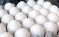
تخم مرغ به کشورهای افغانستان و عراق قاچاق می شود