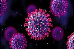  سویه اُمیکرون به اروپا رسید