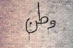 شعارنویسها این گونه شناسایی میشوند!  رصد لحظه به لحظه شعارنویس ها توسط پهپاد سپاه + ویدئو لحظه دستگیری