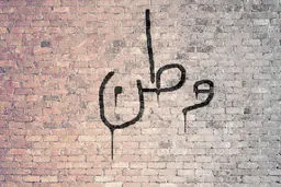 شعارنویسها این گونه شناسایی میشوند!  رصد لحظه به لحظه شعارنویس ها توسط پهپاد سپاه + ویدئو لحظه دستگیری