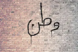 شعارنویسها این گونه شناسایی میشوند!  رصد لحظه به لحظه شعارنویس ها توسط پهپاد سپاه + ویدئو لحظه دستگیری