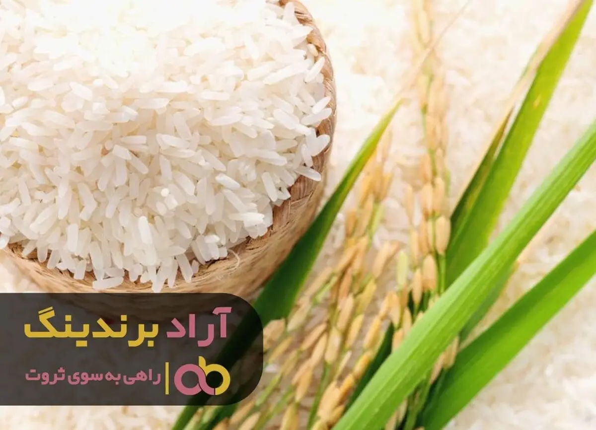 چگونه کسب و کاری موفق را راه اندازی کنیم؟