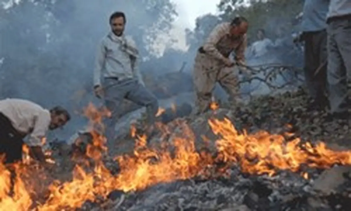  آتش‌سوزی جنگل‌های گیلان اطفا شد