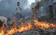  آتش‌سوزی جنگل‌های گیلان اطفا شد