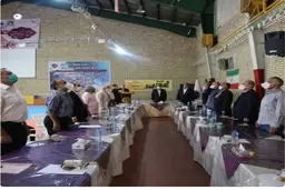 جلسه گردهمایی اعضای کمیته پیشکسوتان تکوندو تهران +عکس