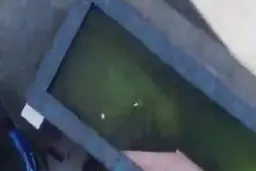 ماهیگیری با پهپاد در شانگهای! | خلاقیت ناشی از گرسنگی!+ویدئو 