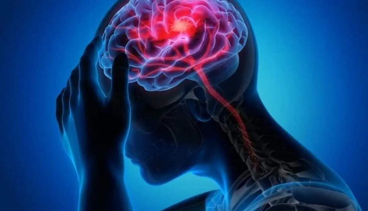 رژیم غذایی صحیح برای جوان نگه داشتن مغز