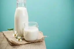 معرفی تمام خواص و فواید شیر برای بدن | در نوشیدن شیر احتیاط کنید
