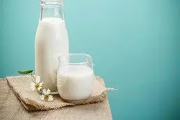 معرفی تمام خواص و فواید شیر برای بدن | در نوشیدن شیر احتیاط کنید
