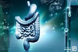 
۱۰ راه‌ برای پیشگیری از ابتلا به سرطان روده بزرگ

