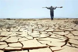 ضرر ۳۰۰۰ میلیارد تومانی بیابان‌زایی به اقتصاد ایران در ۱ سال