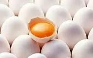 قیمت تخم‌مرغ باز هم افزایش می یابد؟