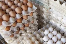 فروش گوشت قرمز، گوشت مرغ، تخم مرغ، شکر و برنج طبق روال قبل