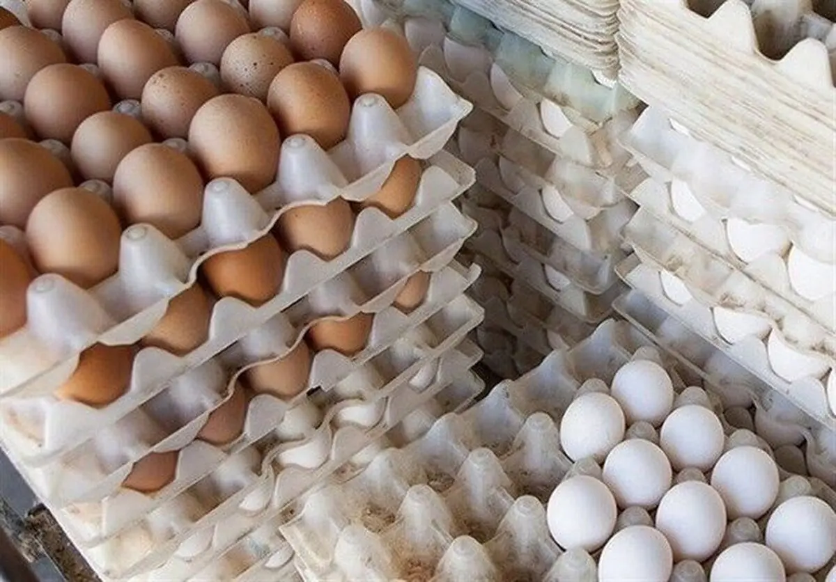 فروش گوشت قرمز، گوشت مرغ، تخم مرغ، شکر و برنج طبق روال قبل
