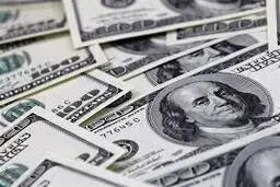 جزئیاتی از نواسانات ارز در بازار 