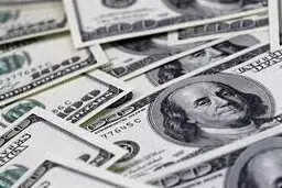 جزئیاتی از نواسانات ارز در بازار 