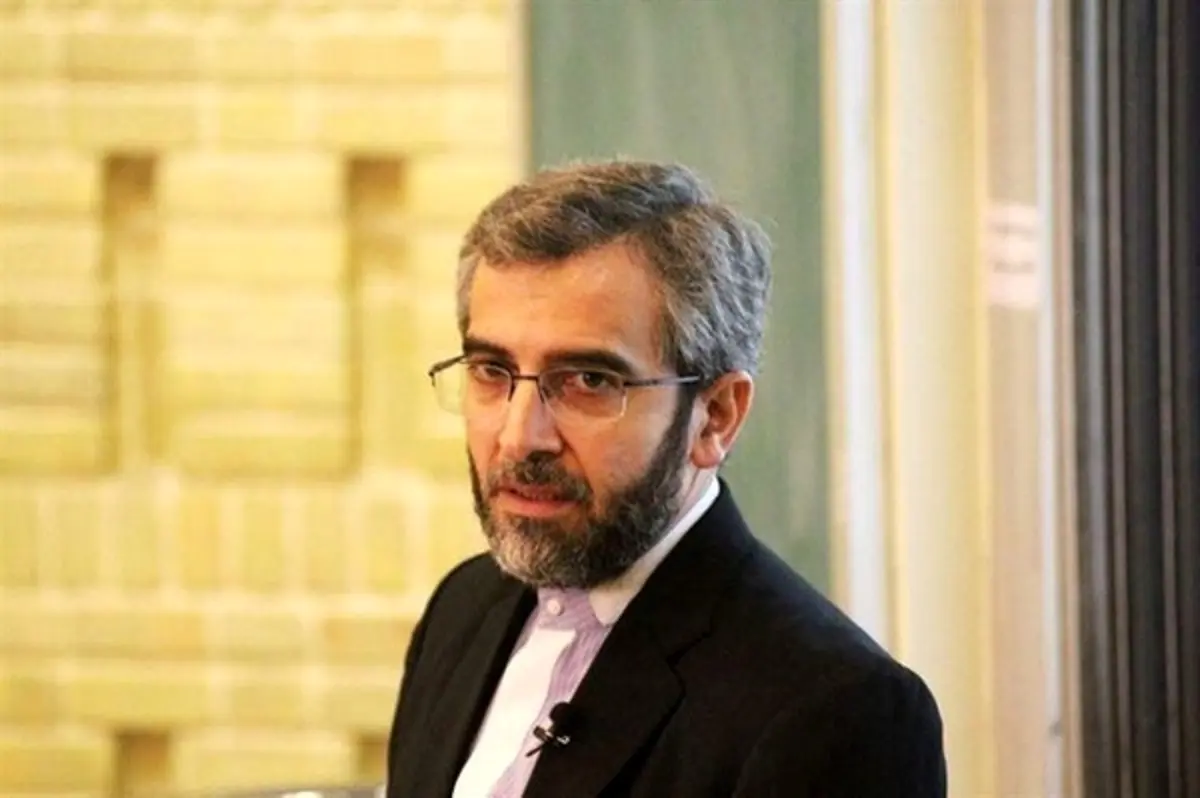 علی باقری وارد وین شد