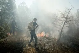 سوختن زاگرس زیر سایه سیاست و اقتصاد