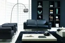  دکوراسیون فضای منزل با رنگ سیاه و سفید