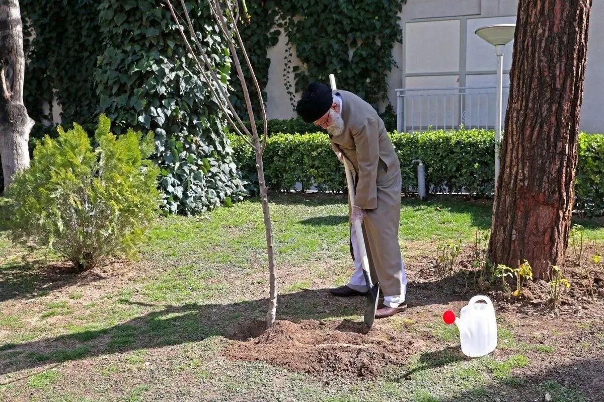کاشت نهال توسط رهبر انقلاب همزمان با روز درختکاری