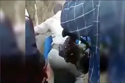 جزئیات ماجرای بازداشت یک فعال محیط زیست دراستان لرستان