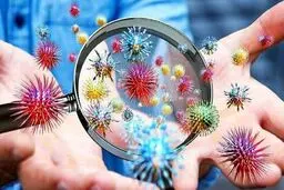 امکان ماندگاری آنتی‌بادی‌های ناشی از ابتلا به کرونا تا ۲۰ ماه