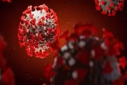 کرونا|80 درصد اصناف از شیوع کرونا آسیب دیدند