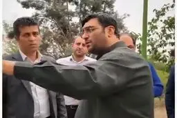 عیارسنجی وعده‌های شهردار منطقه ۱۵؛ از شوآف تا واقعیت