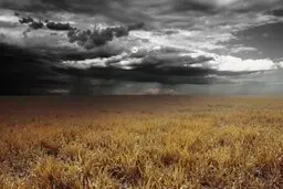 بوی باران حاصل کار باکتری‌ها برای تولید مثل است! 