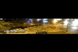 آتش زدن عمدی درخت + ویدئو