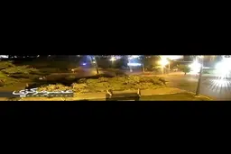 آتش زدن عمدی درخت + ویدئو
