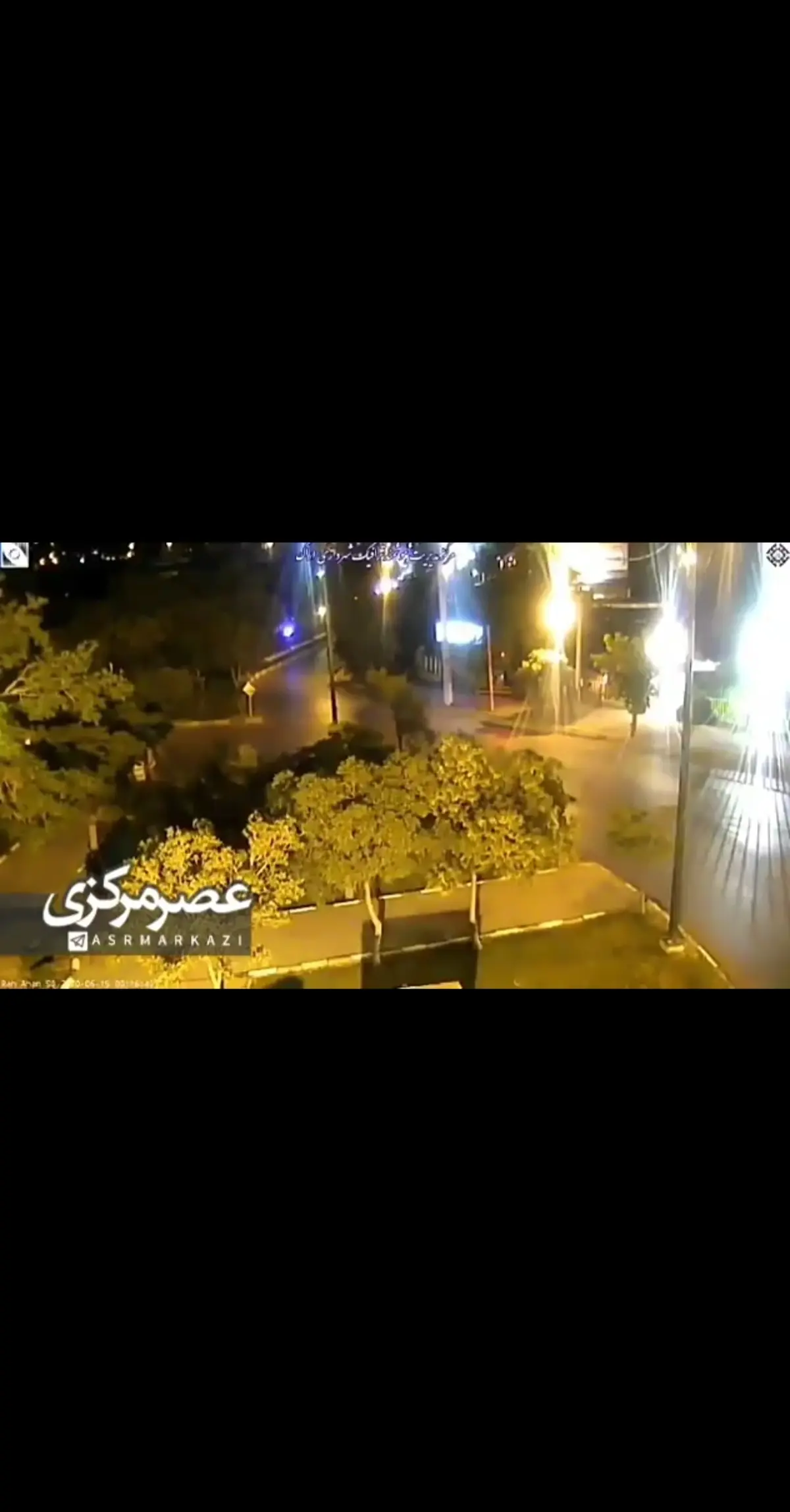 آتش زدن عمدی درخت + ویدئو