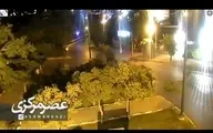 آتش زدن عمدی درخت + ویدئو