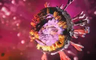 دانشمندان آمریکایی  |  جهش کروناویروس می‌تواند ماسک زدن و فاصله اجتماعی را بی‌اثر کند