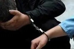  دختر جوان تیزهوش زورگیر مسافربر نما را گرفتارکرد