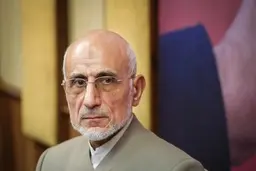 میرسلیم استعفای خود را از هیئت نظارت بر انتخابات شوراها اعلام کرد