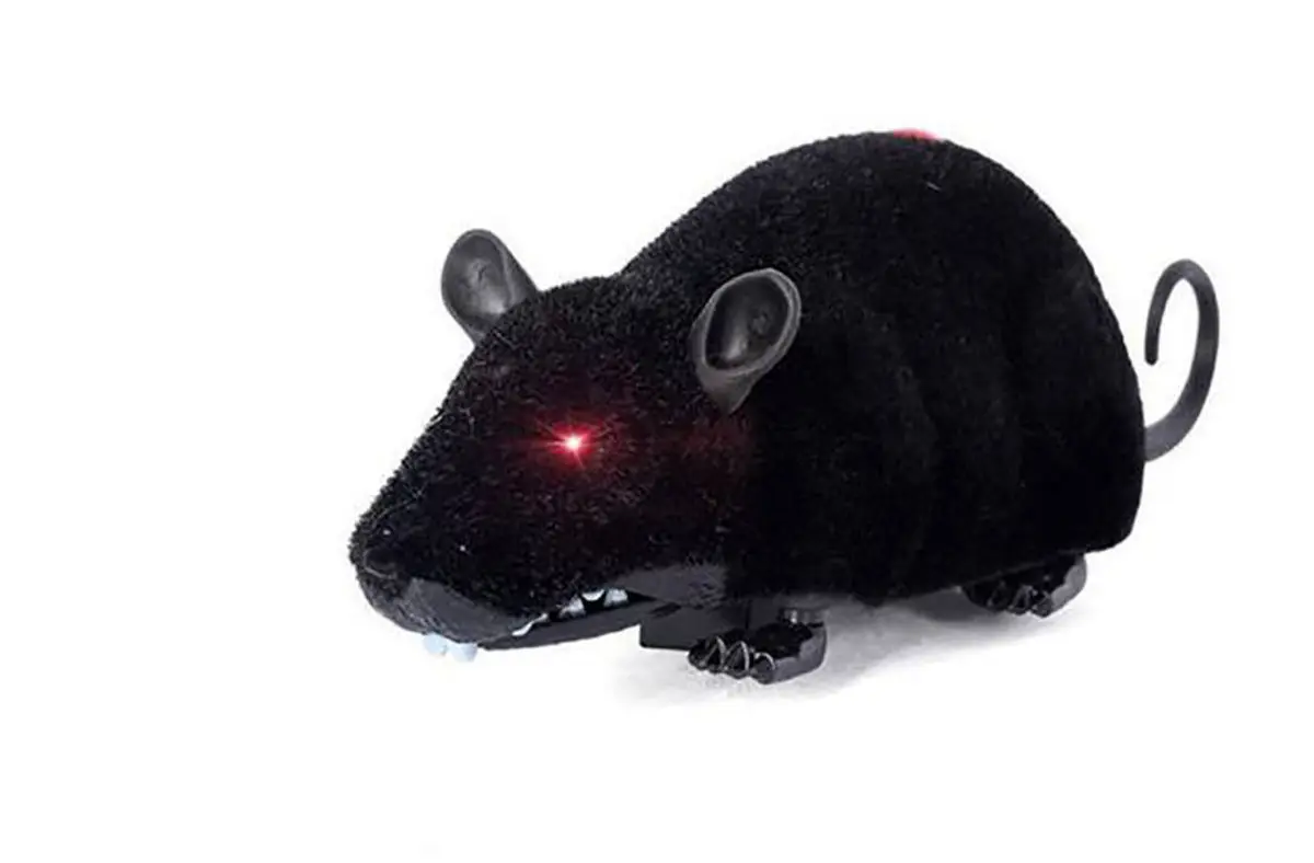  کمک موش های رباتیکی در بلایای طبیعی به آسیب دیدگان +ویدئو