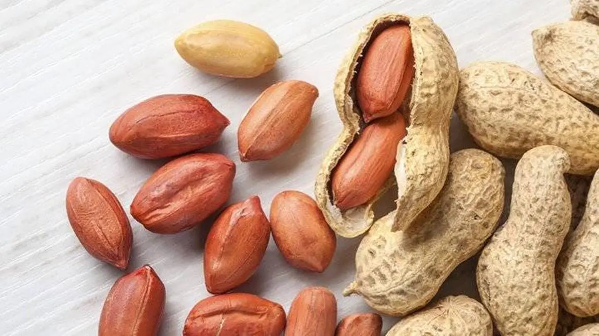  خواص معجزه آسای بادام زمینی  | مضرات بادام زمینی را بشناسید